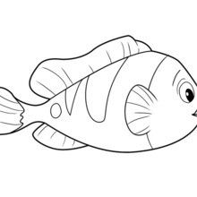 220x220 Fish Coloring Pages, Drawing For Kids, Reading Learning, Kids - Fish Drawing Colour