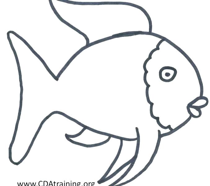 678x600 Fish Outline Printable Rainbow Drawing Coloring Clipart - Fish Drawing Colour