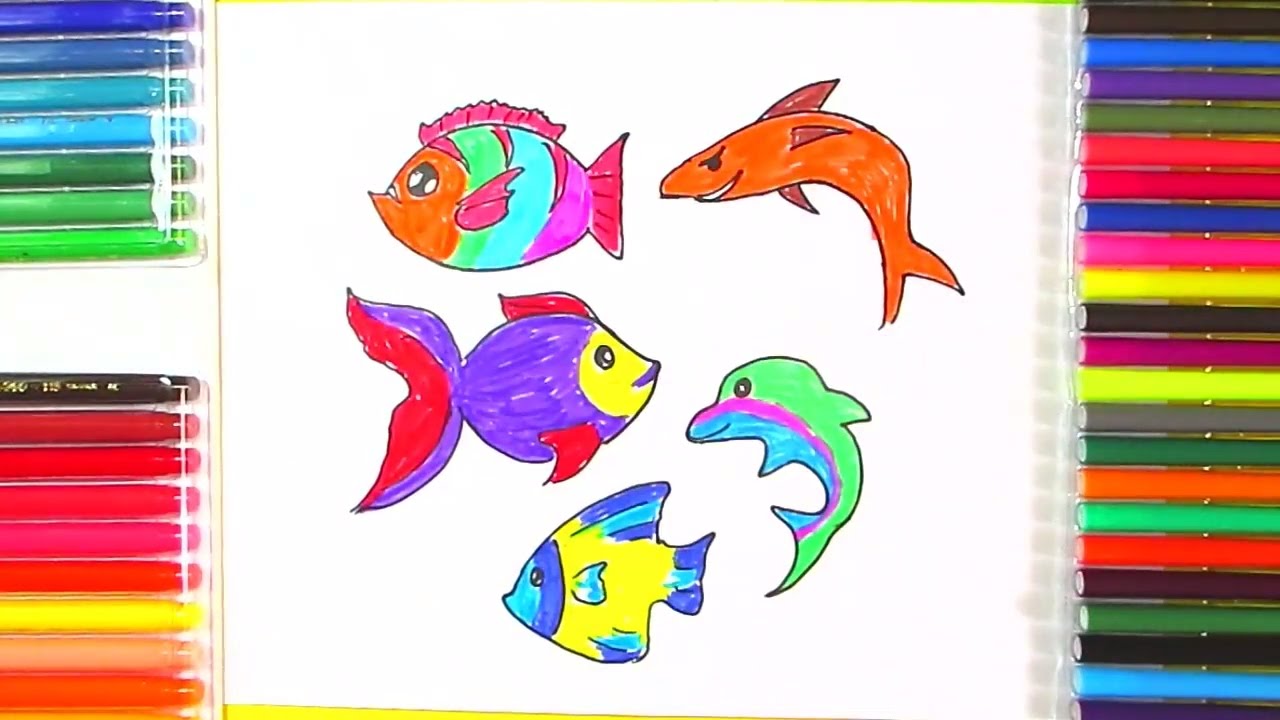 1280x720 How To Draw Fish Drawing And Coloring Fish In Different Type - Fish Drawing Colour