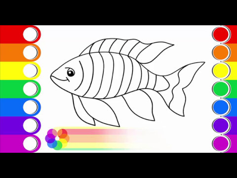 480x360 How To Draw And Colour A Fish For Kids - Fish Drawing Colour