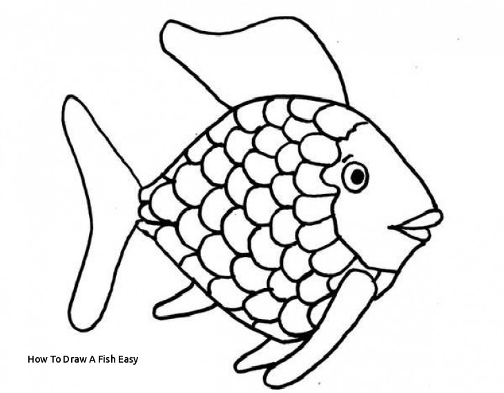 730x569 How To Draw A Fish Easy Coloring Pages To Color For Free - Fish Drawing Easy