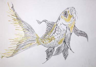 Fish Drawing Images
