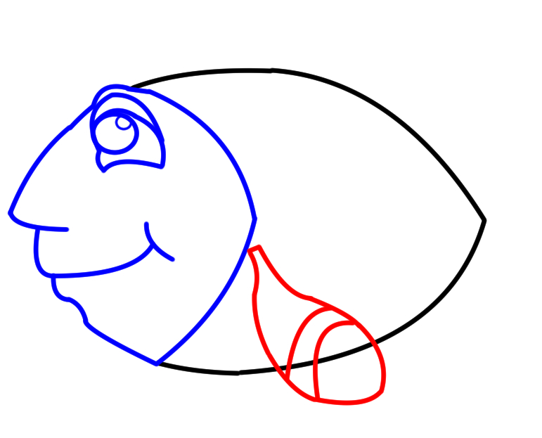 771x623 How To Draw Fish Cartoons Easy Steps - Fish Drawing Images