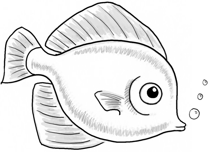 700x509 Cartoon Drawing Of Fish - Fish Drawing Images