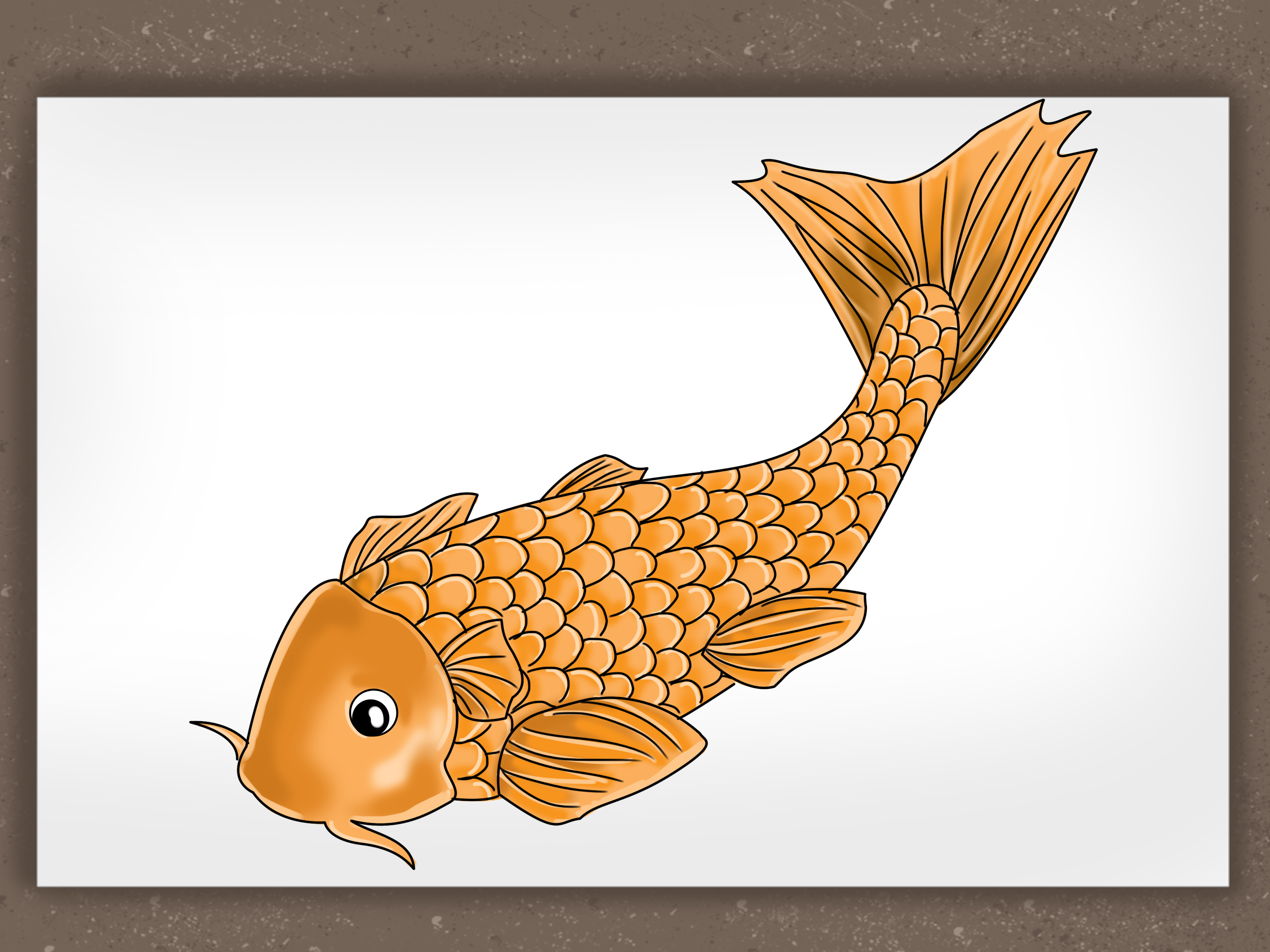 3200x2400 Photos How To Draw Fish Shapes - Fish Drawing Images