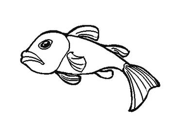 350x250 Fish - Fish Drawing Images