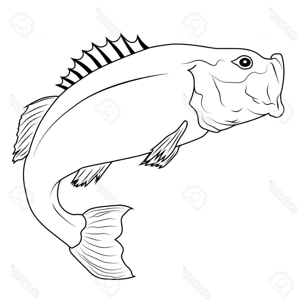 1024x1004 Fish Drawing Outline Free Download Clip Art - Fish Drawing Outline