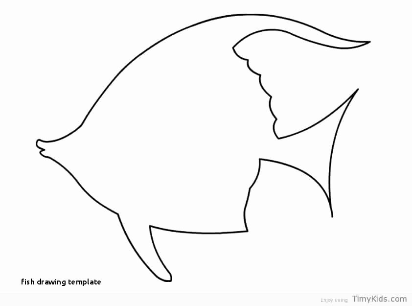 842x625 Fish Outline Drawing Coloring Pages Template - Fish Drawing Outline