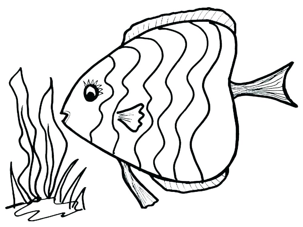 1000x750 Fish Outline Drawing Illustration Of A Fish Outline Goldfish - Fish Drawing Outline