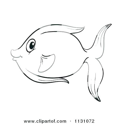 450x470 Fish Outline Template Drawing - Fish Drawing Outline