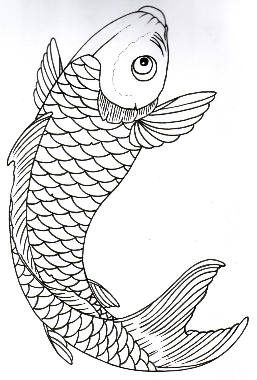 900x1330 Huge Collection Of 'koi Fish Drawing Outline' Download More Than - Fish Drawing Outline