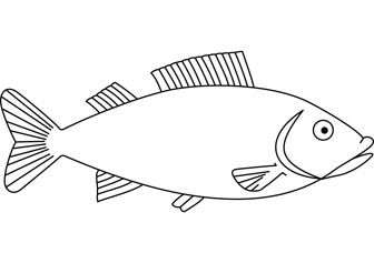 336x237 Fish Drawings Images - Fish Drawing Photos