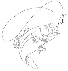 236x245 Fish Pictures To Color How To Draw A Bass, Step - Fish Drawing Pictures