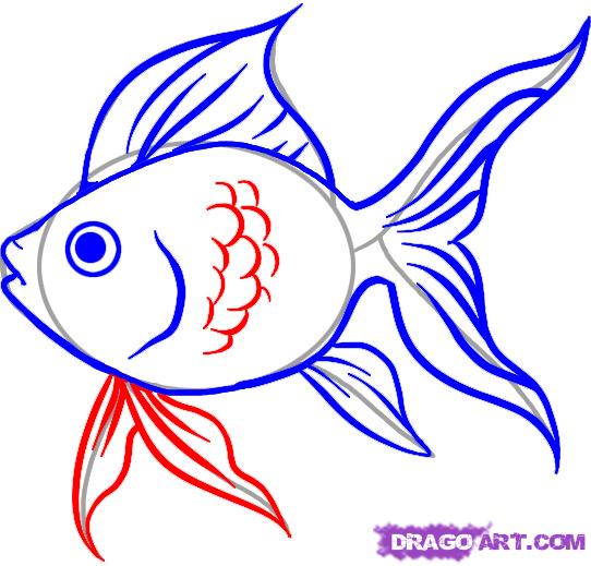 542x519 Fish Drawing Easy - Fish Drawing Pictures