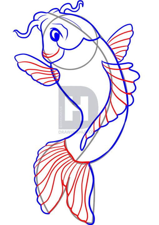 510x720 How To Draw A Koi, Step - Fish Drawing Simple