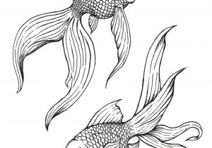 300x210 Koi Fish Drawing Easy How To Draw A Koi Fish Printable Drawing - Fish Drawing Simple
