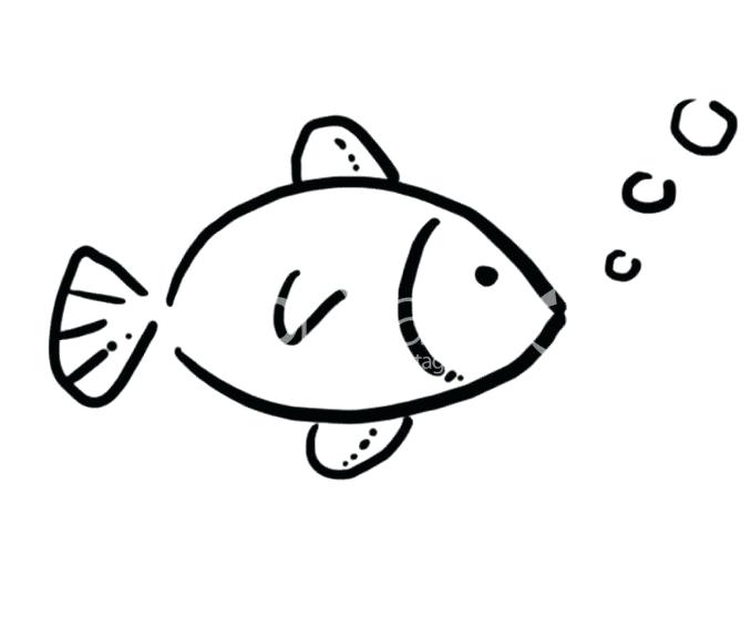 678x576 simple fish drawing fish simple simple goldfish drawing - Fish Drawing Simple