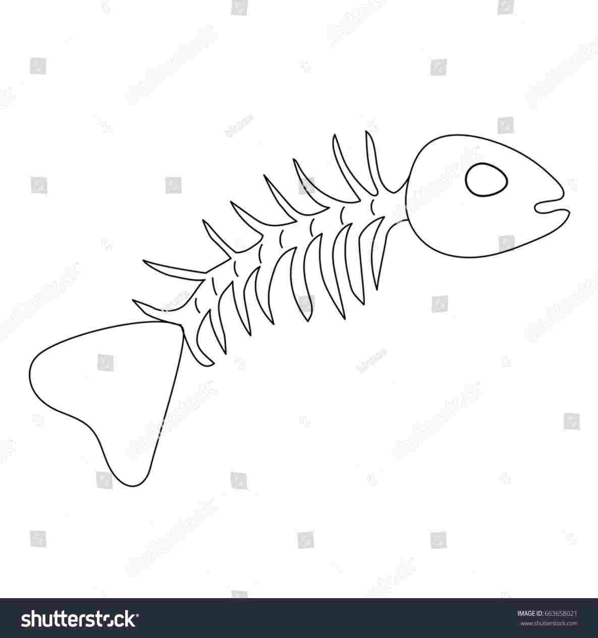 1185x1264 Clip Art On Rhclipartlibrarycom Free Fish Drawing Simple Simple - Fish Drawing Simple