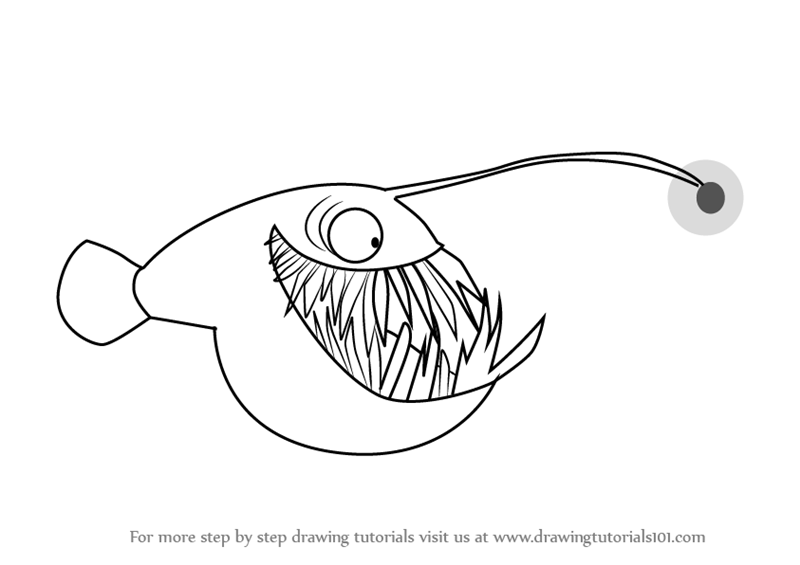 Fish Drawing Step By Step