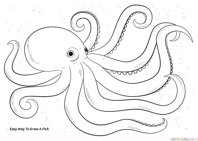 807x575 Easy Way To Draw A Fish - Fish Drawing Step By Step