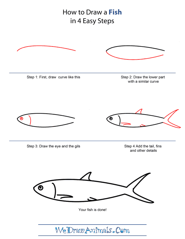600x776 How To Draw A Fish - Fish Drawing Step By Step