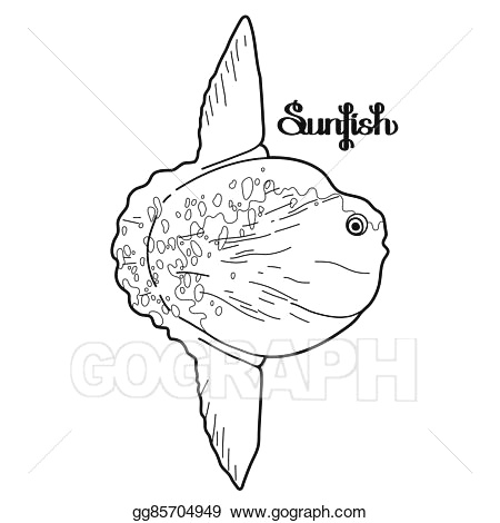 450x470 Cartoon Fish Easy To Draw Vector Graphic Vector Sunfish Stock - Fish Drawing Step By Step