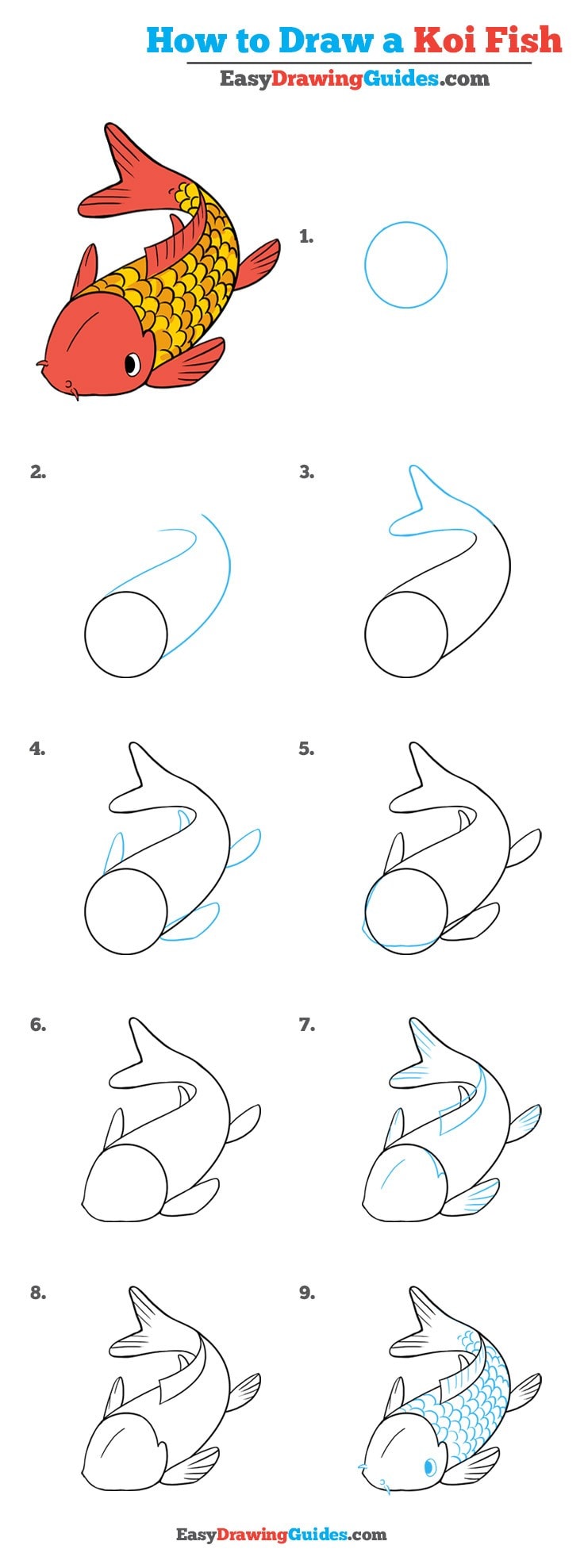 736x1977 How To Draw A Koi Fish - Fish Drawing Step By Step