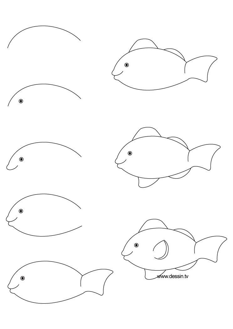 744x1052 Drawing Clownfish - Fish Drawing Step By Step
