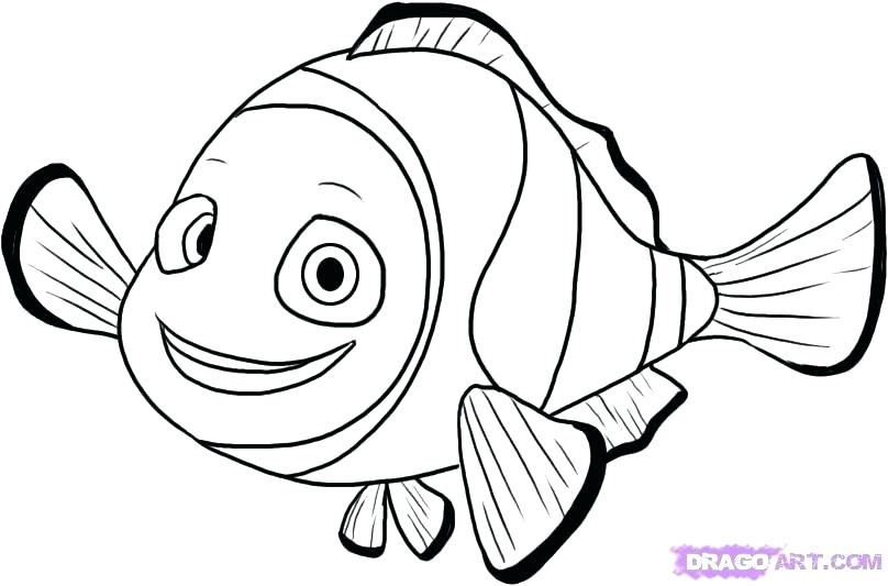 Fish Drawing Template at PaintingValley.com | Explore collection of ...