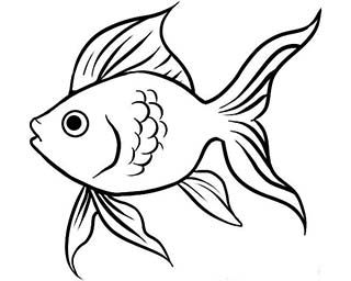 320x256 Fish Template - Fish Drawing Template