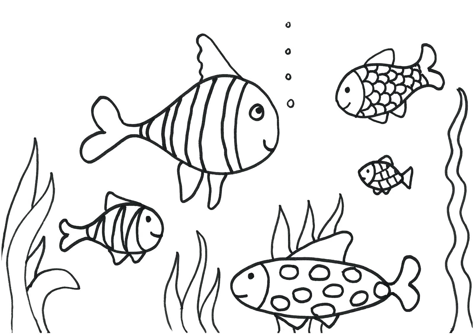1600x1131 template fish drawing template coloring - Fish Drawing Template