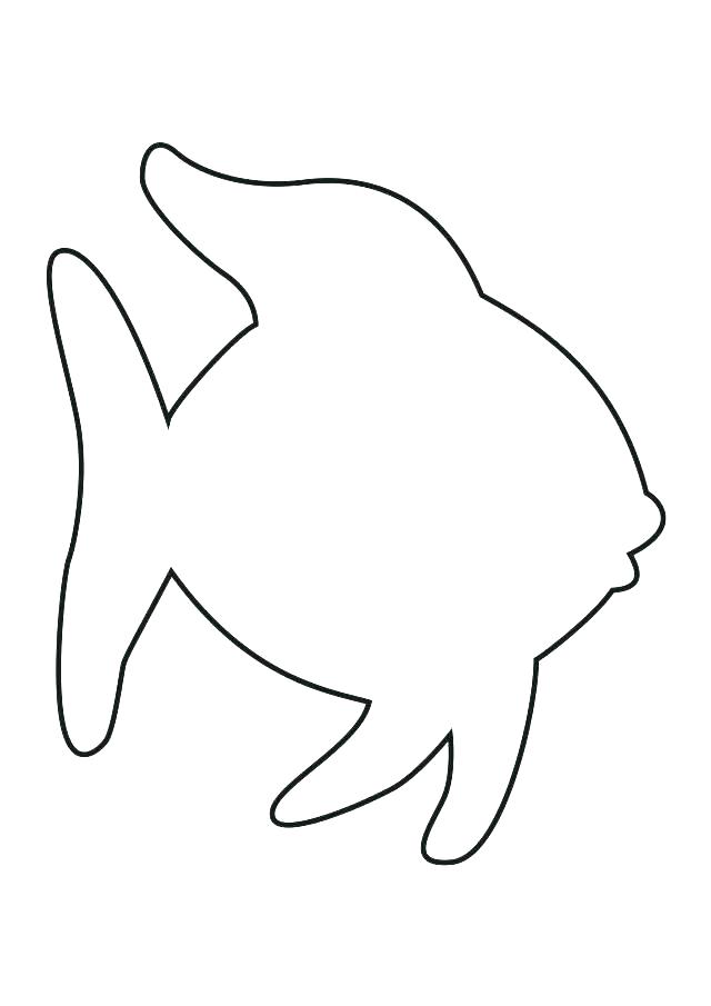 Fish Drawing Template at PaintingValley.com | Explore collection of ...