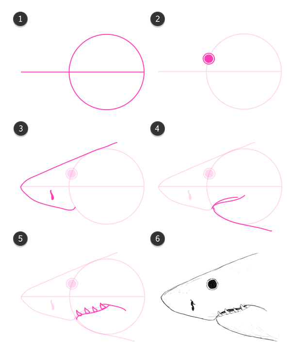 600x736 How To Draw Animals Fish And Sharks - Fish Head Drawing