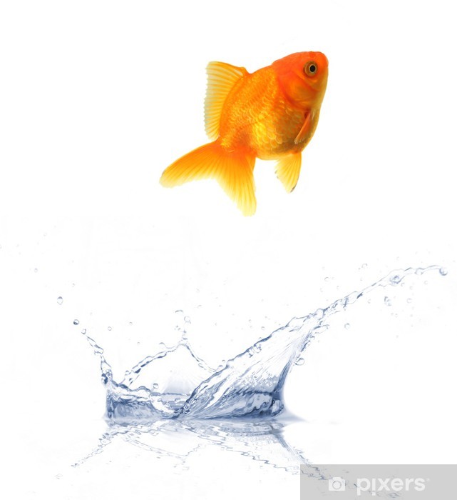 641x700 Golden Fish Jumping Out Of Water Sticker We Live To Change - Fish Jumping Out Of Water Drawing
