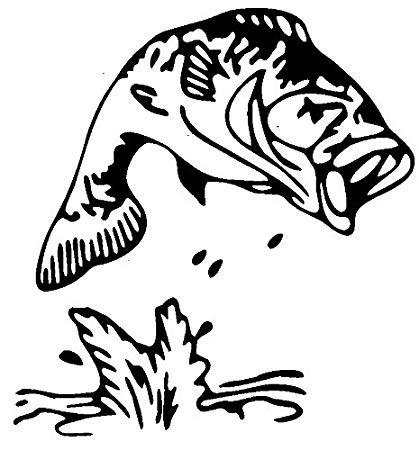 419x450 Bass Jumping Out Of Water - Fish Jumping Out Of Water Drawing