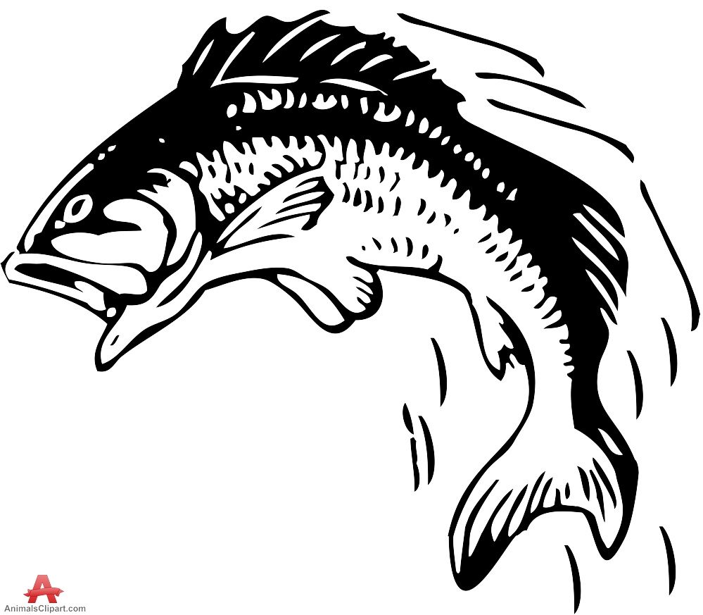 999x873 Painting Ideas In Fish Drawings - Fish Jumping Out Of Water Drawing