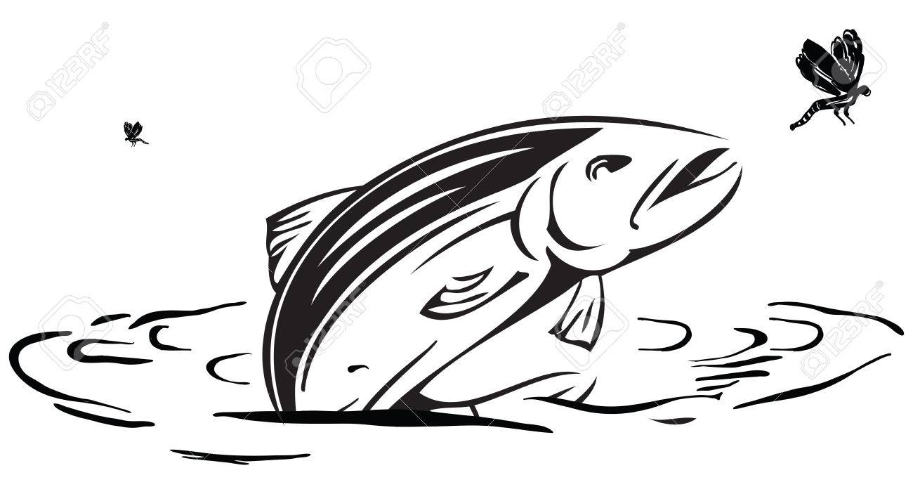 1300x703 Salmon Jumping Out Of Water Clipart Clip Art Images - Fish Jumping Out Of Water Drawing
