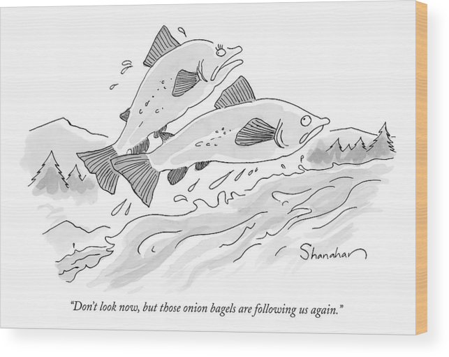 643x511 There Are Two Fish Jumping Out Of Water Wood Print - Fish Jumping Out Of Water Drawing