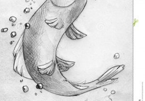 300x210 Water Pencil Sketches Fish Jumping Out Of Water - Fish Jumping Out Of Water Drawing