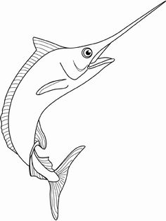 236x314 Fish Line Drawing Fish Line Drawing Art Drawing Ideas - Fish Line Drawing