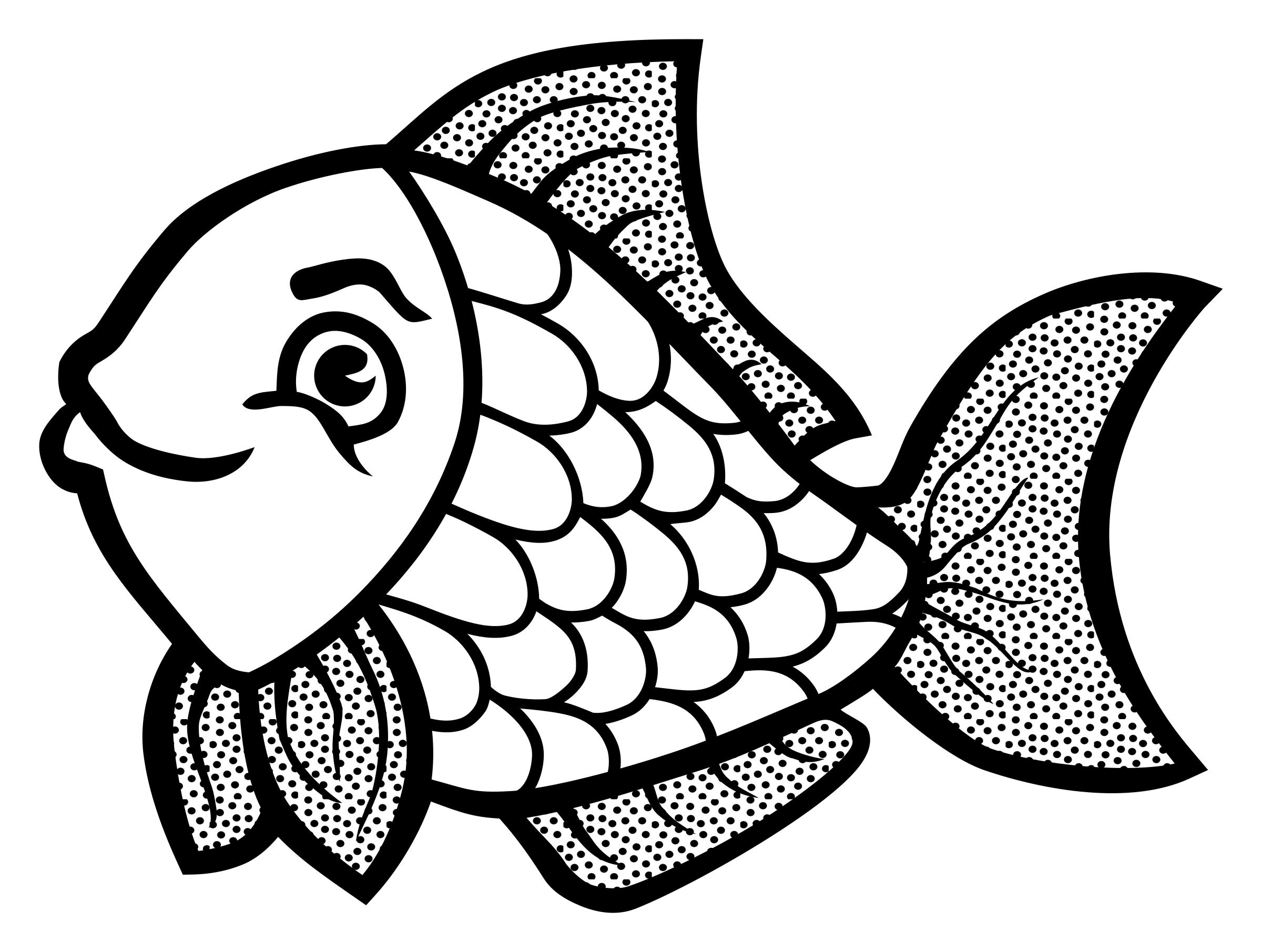 Line drawing of fish nibhtposters
