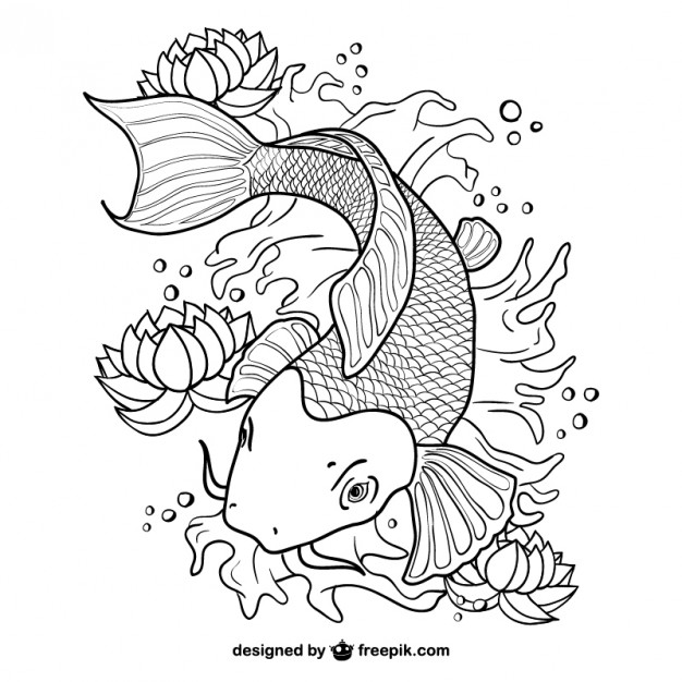 626x626 Koi Fish Line Art Vector Vector Free Download - Fish Line Drawing