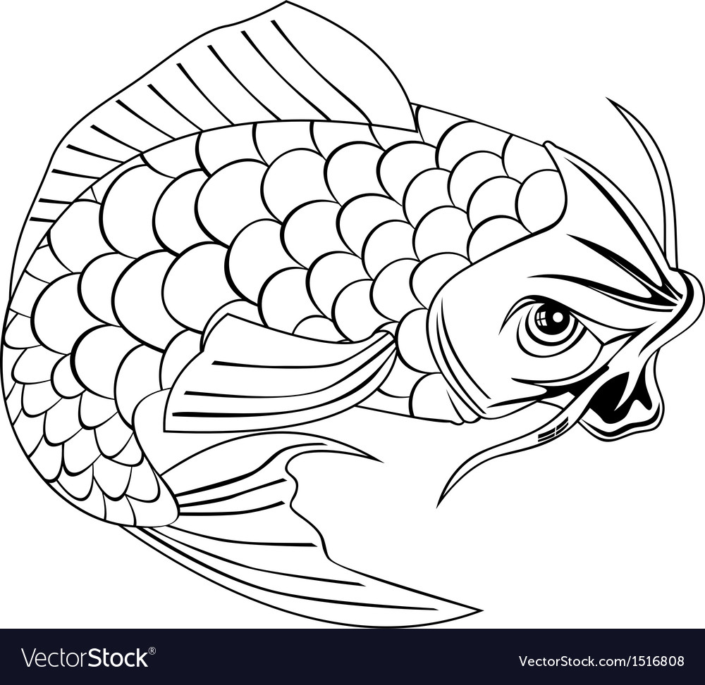 1000x973 line drawing fish koi carp jumping royalty free vector image - Fish Line Drawing