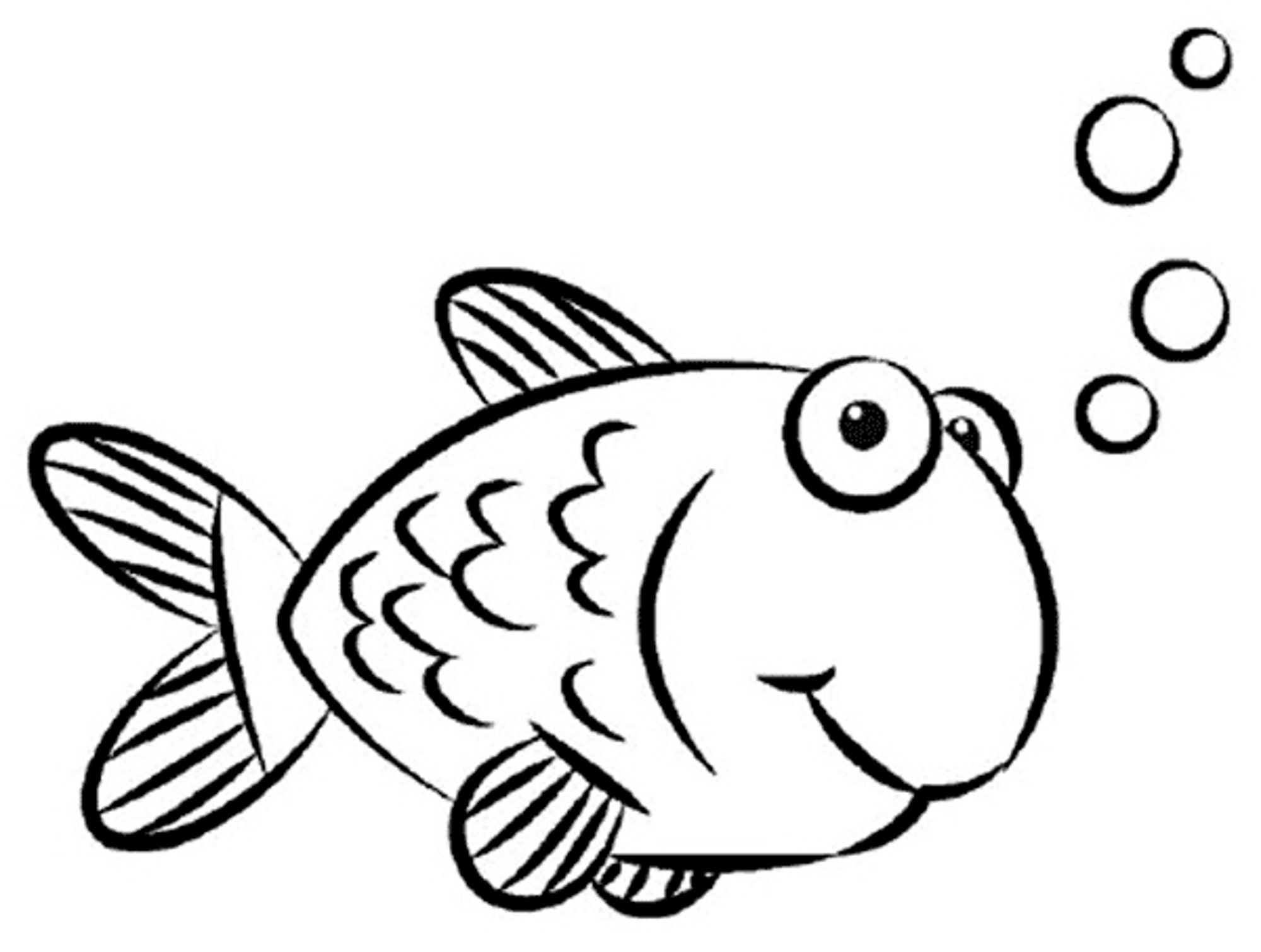 2000x1510 Easy To Draw Fish Valuable Sketches Drawings Pencil Drawing Cute - Fish Line Drawing