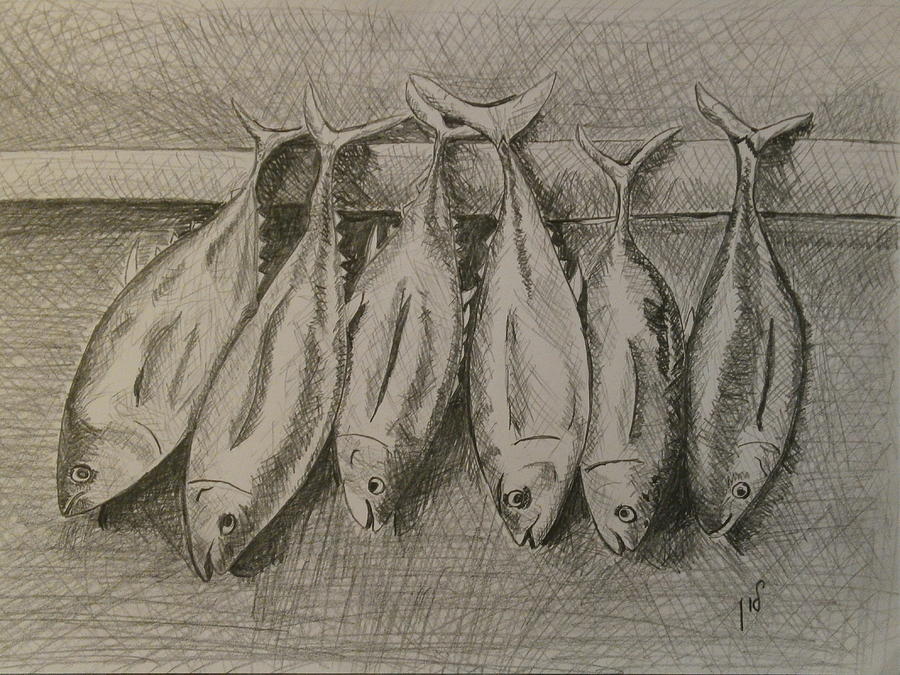 Fish Market Drawing at Explore collection of Fish