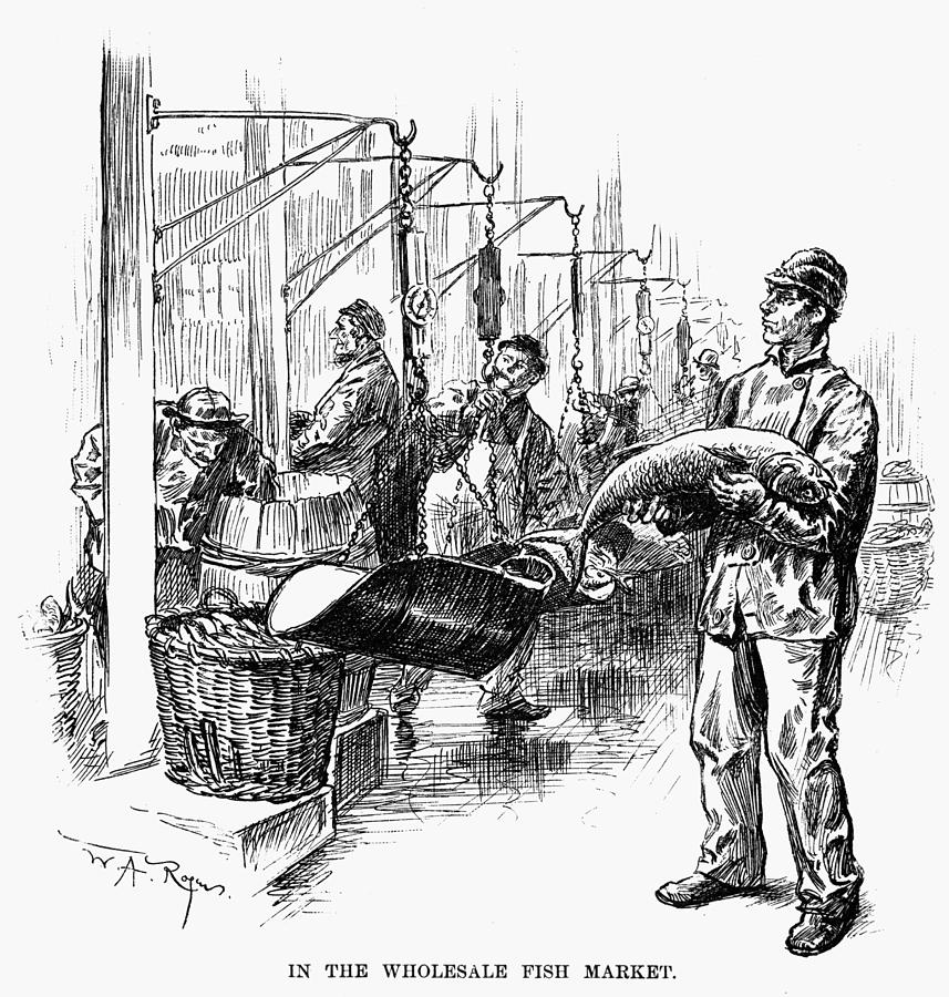 857x900 Fulton Fish Market, Drawing - Fish Market Drawing