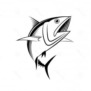 300x300 Photostock Vector Draw Tuna Fish Vector Sohadacouri - Fish On A Hook Drawing