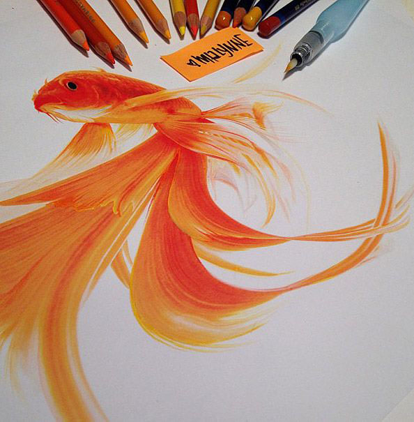 594x605 Color Fish Pencil Drawing - Fish Pencil Drawing