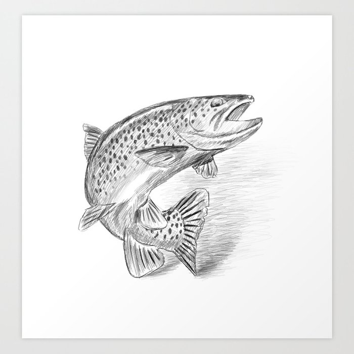 700x700 Fish Pencil Drawing Art Print - Fish Pencil Drawing