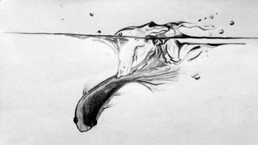 375x211 Original Realism Fish Pencil Drawings For Sale Saatchi Art - Fish Pencil Drawing